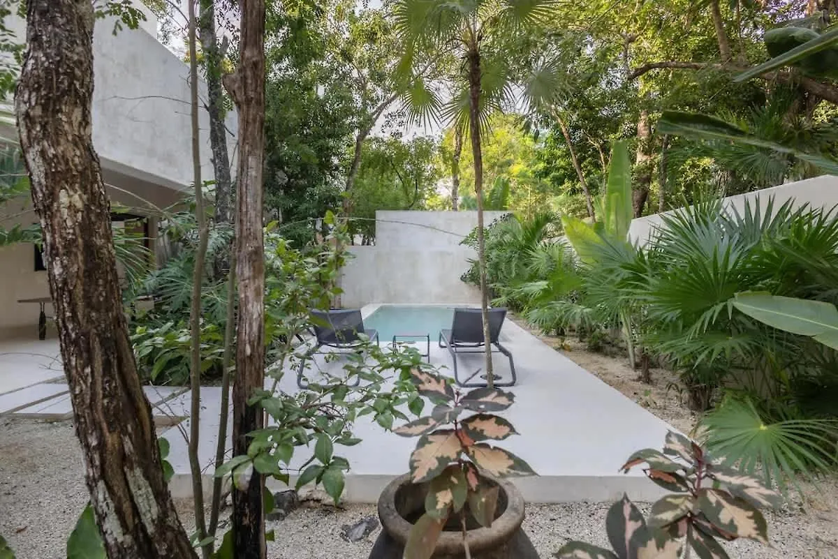 Apartment Casa Viento Private Pool Garden 12Min To Beach Tulum