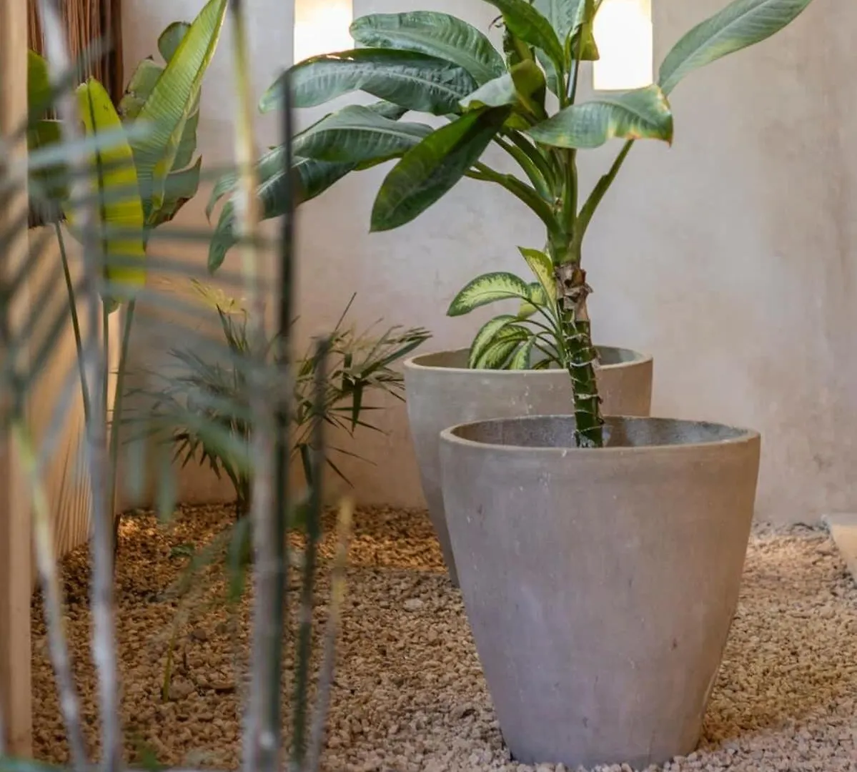 Casa Viento Private Pool Garden 12Min To Beach Tulum 0*,