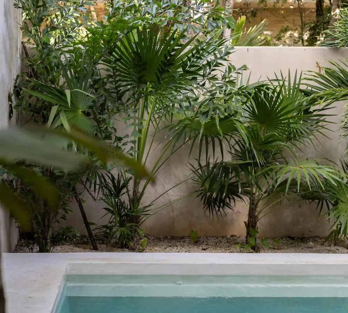 Casa Viento Private Pool Garden 12Min To Beach Tulum 0*,  Mexico
