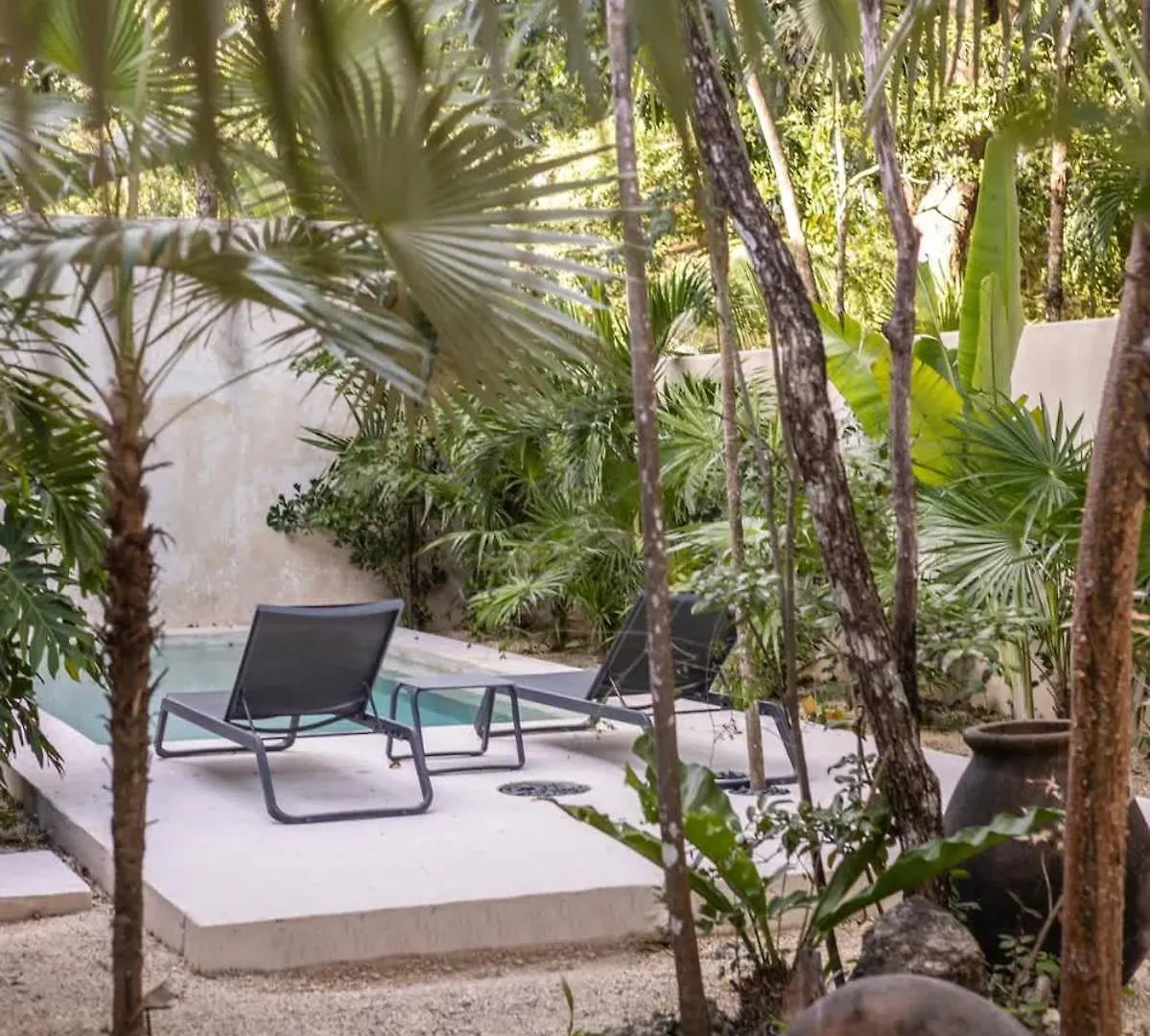 Apartment Casa Viento Private Pool Garden 12Min To Beach Tulum