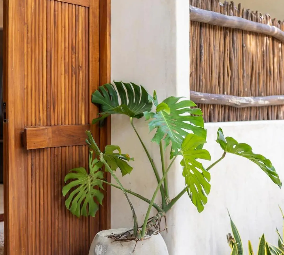 Casa Viento Private Pool Garden 12Min To Beach Tulum Apartment